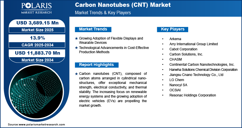 Carbon Nanotubes (CNT) Market Share